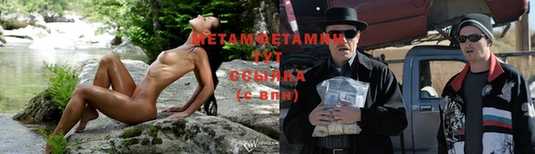 сатива Каменск-Шахтинский