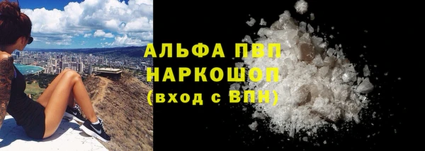 дживик Каменногорск