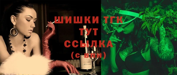 дживик Каменногорск