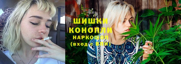 сатива Каменск-Шахтинский