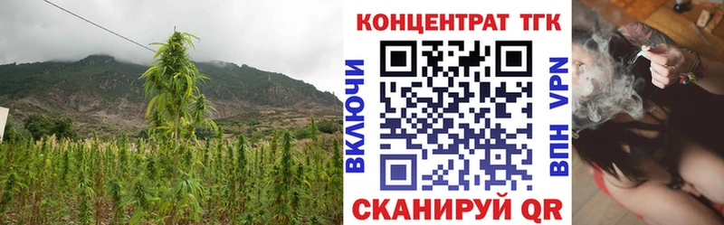 ТГК вейп с тгк  Купить где  Туран 