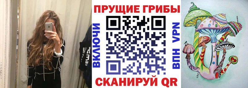 Купить где  Туран  Псилоцибиновые грибы MAGIC MUSHROOMS 