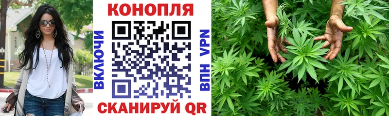 Марихуана сатива  Купить где  Туран 